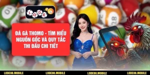 Đá Gà Thomo